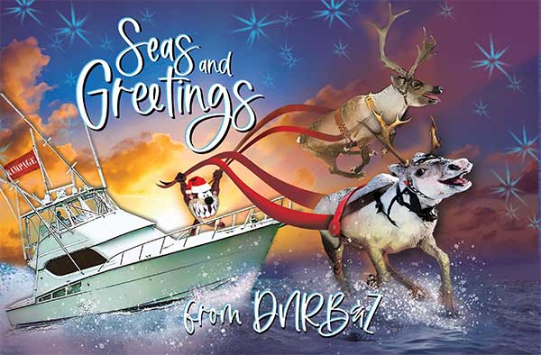 Seas and Greetings from DARB&Z